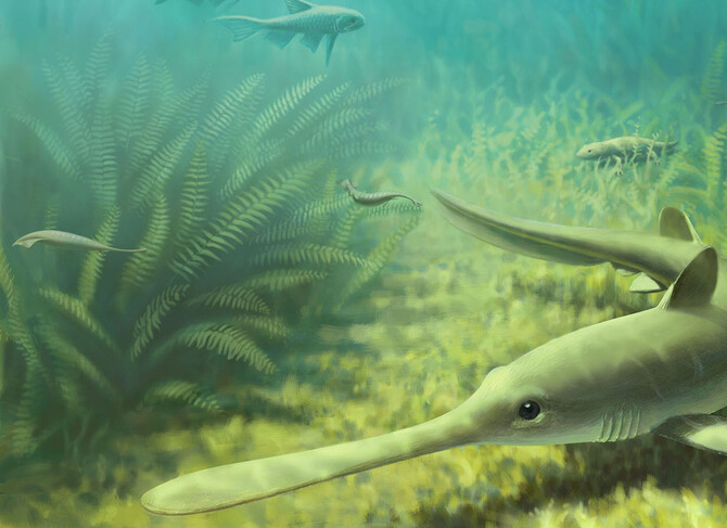 Tully monster scene Tully monster scene