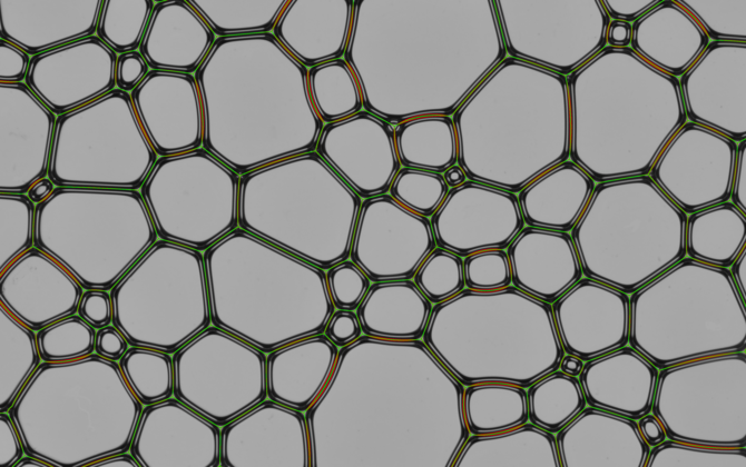circles_imi288_update.png circles_imi288_update.png
