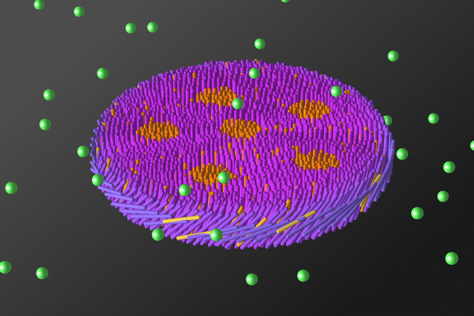 Viral Membrane Viral Membrane