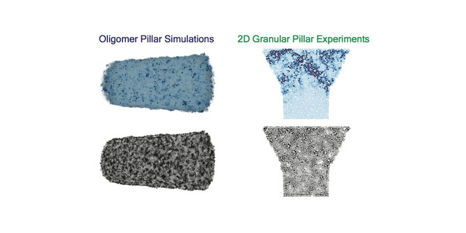 figure2d2.jpg figure2d2.jpg