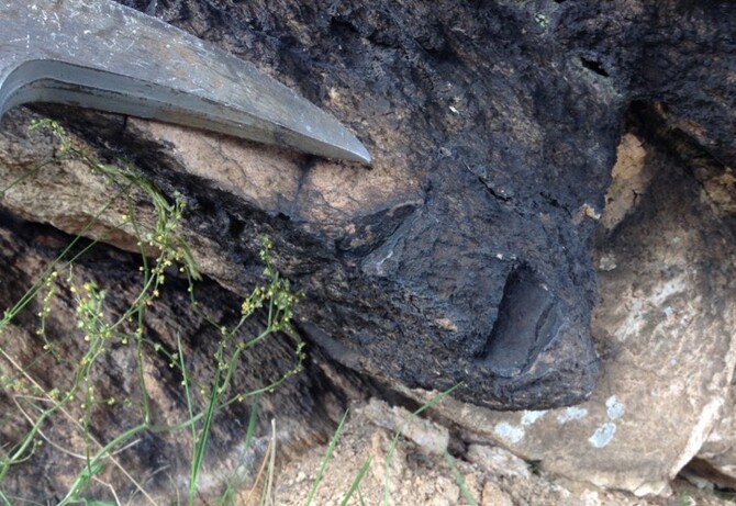fulgurite fulgurite