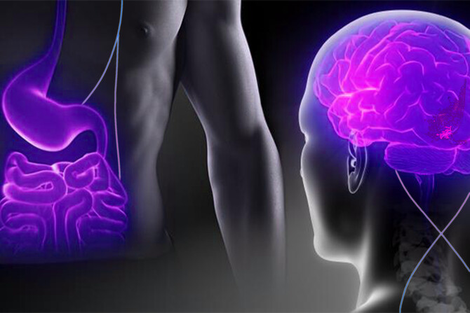 gut-brain connection gut-brain connection