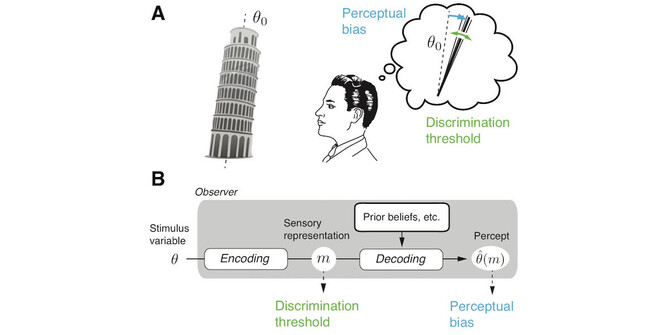 Penn researcher Alan Stocker discovered a new law of human perception. Penn researcher Alan Stocker discovered a new law of human perception.