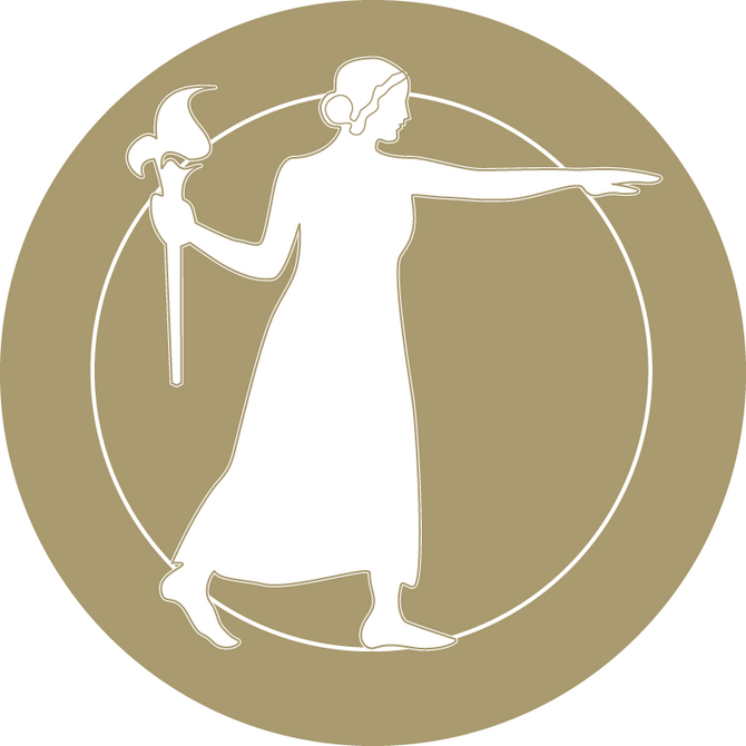 NAS logo1 NAS logo1