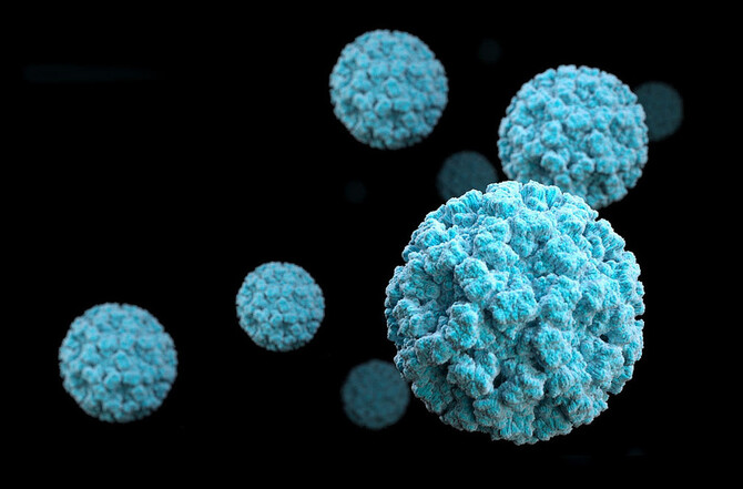 Norovirus Norovirus