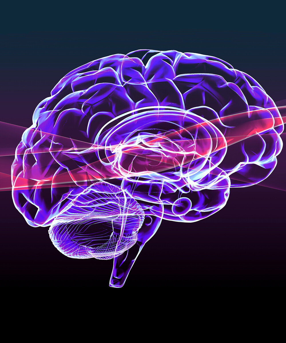 The human brain as though it is being scanned.