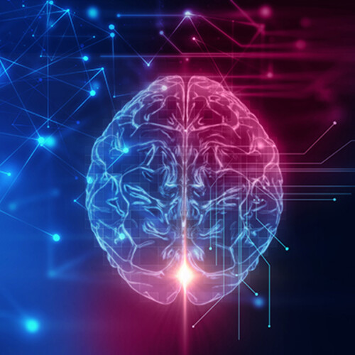 brain science