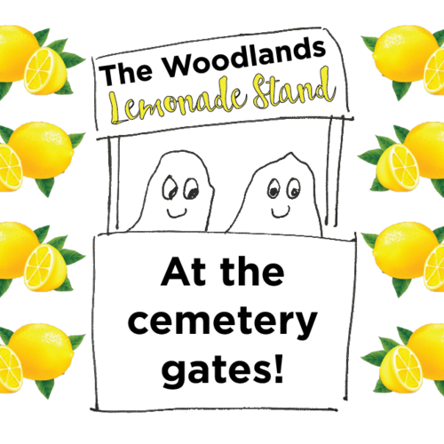 Woodlands Lemonade