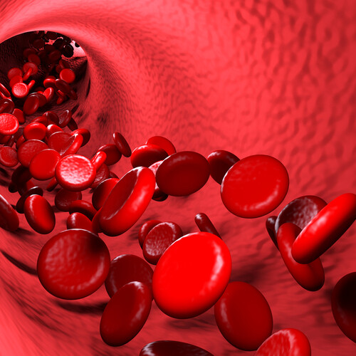 red blood cells
