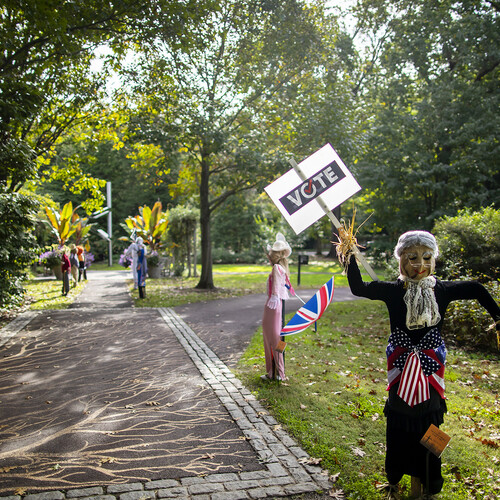 Scarecrow decorated in an American flag and grey wig, with a vote sign and more scarecrows in the background