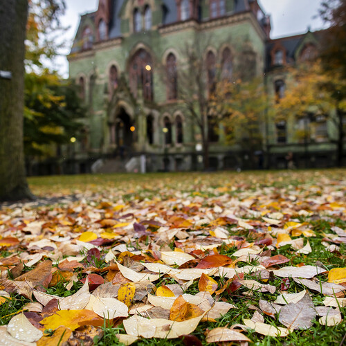 Leaves speckled with rain drops on the ground in the foreground on Penn's campus