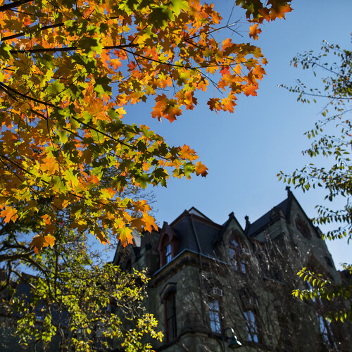 college hall with autumn leaves in foreground