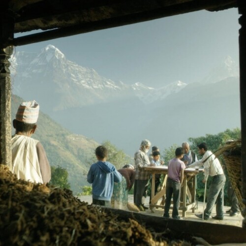 People with mountains in the distance