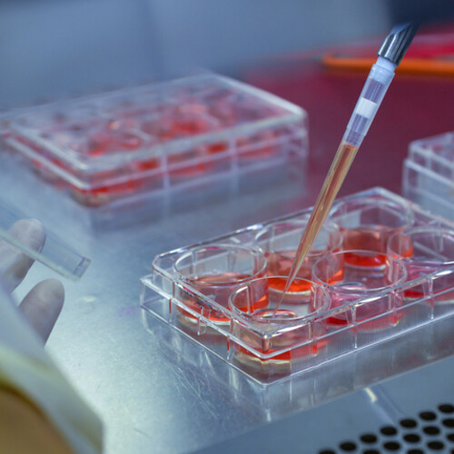 pipette and sample tray