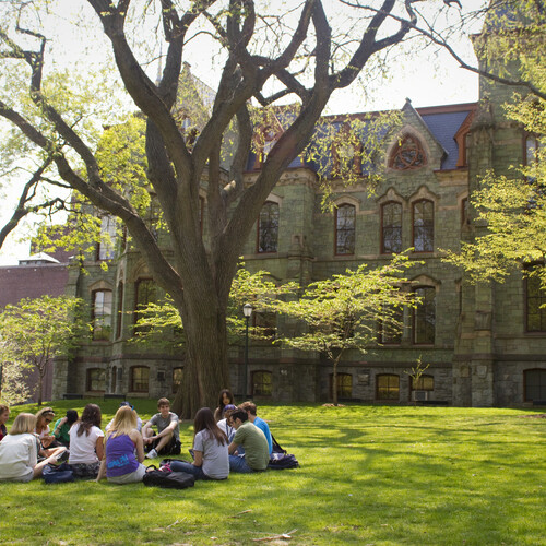 Students sit in circle under a tree