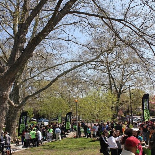 crowds of people in a tree-lined park visiting booths distributed around the park