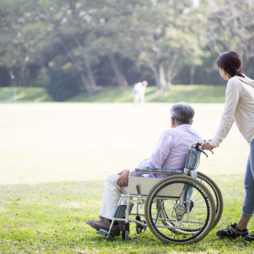 person pushing another person in a wheelchair on a grassy area in a park during the daytime