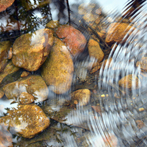 Creek water and stones