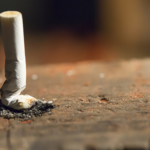 crushed cigarette butt vertical on the ground