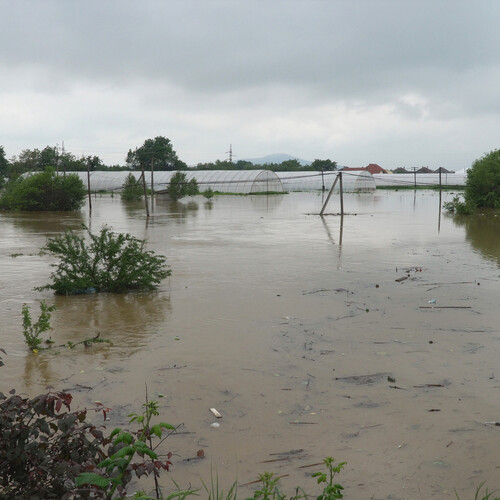 Spring field flooded by high water of a small river.