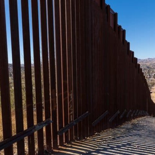 Border wall slats