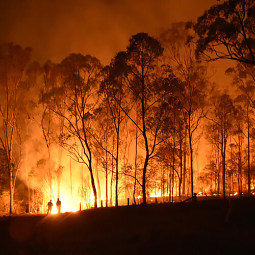 Bushfire burning in Queensland Australia