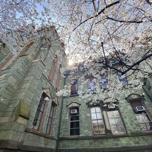 spring on campus