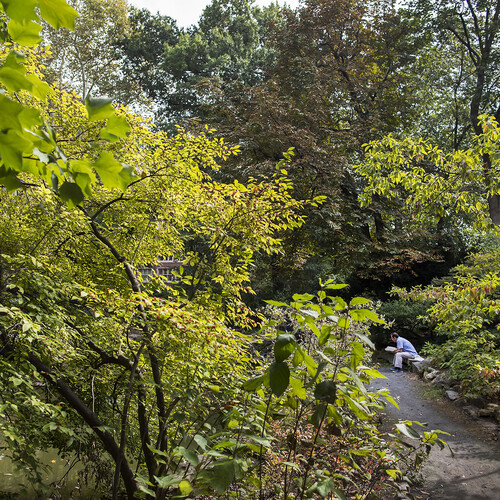 A person sits reading in Penn's Biopond