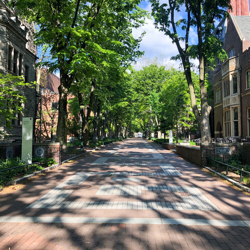 Sunlit but empty Locust Walk in springtime