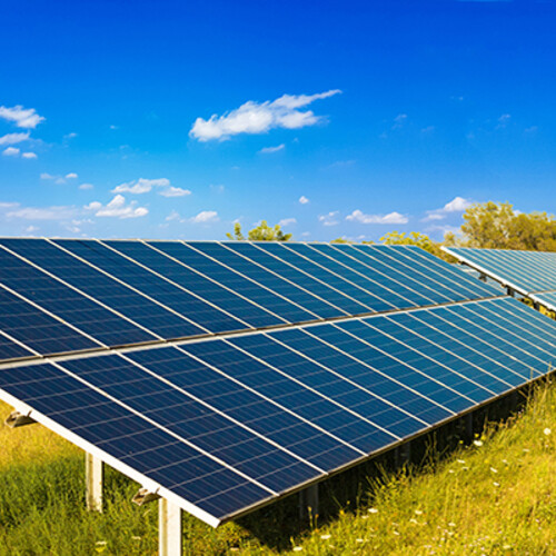 solar panels in a field