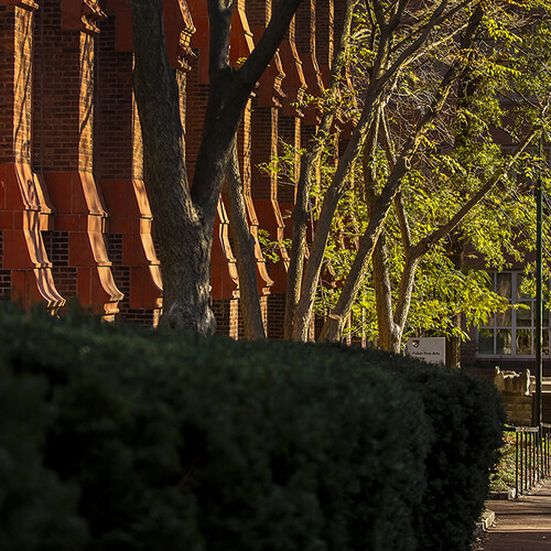 Person walking in distance on Penn’s campus past a building in the autumn sunshine.