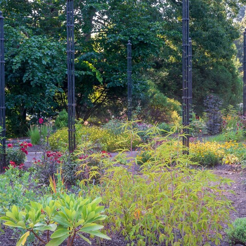 Garden fixtures with plants and shrubs