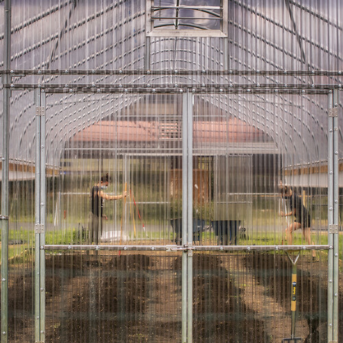 Greenhouse at Penn Park Farm 