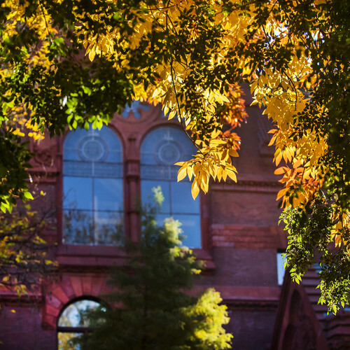 window detail of fisher fine arts library with autumn leaves