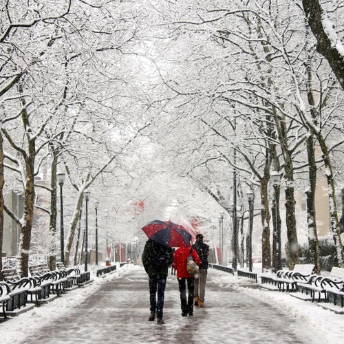 Locust Walk in the snow