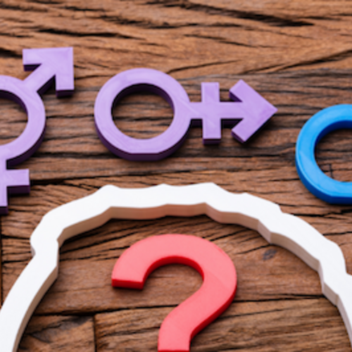 Gender puzzles and icons. 