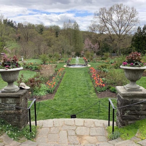 Inside Morris Arboretum.
