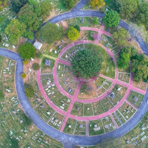 Aerial shot of the Woodlands.