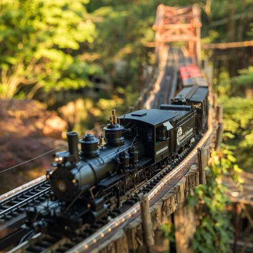 A miniature train that reads 'Morris Arboretum' on its side, surrounded by trees and foliage.