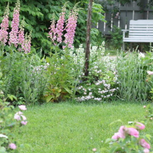Garden of flowers with a white bench facing it.
