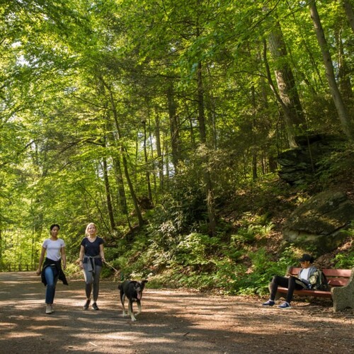 Two women walking on a trail with a dog passing a person seated on a bench.