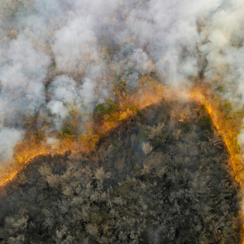 Aerial view of a wildfire burning.