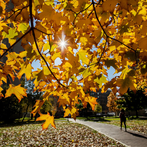 Penn’s campus in autumn.