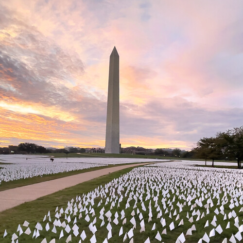 White flags honoring lives lost to the COVID-19 virus on the National Mall in Washington, D.C.