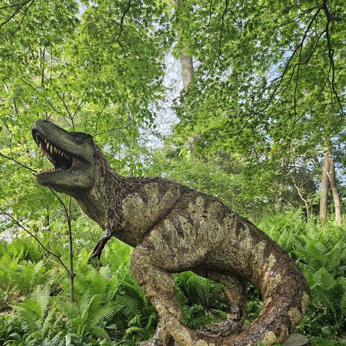 Sculpture of a T-rex in a garden.