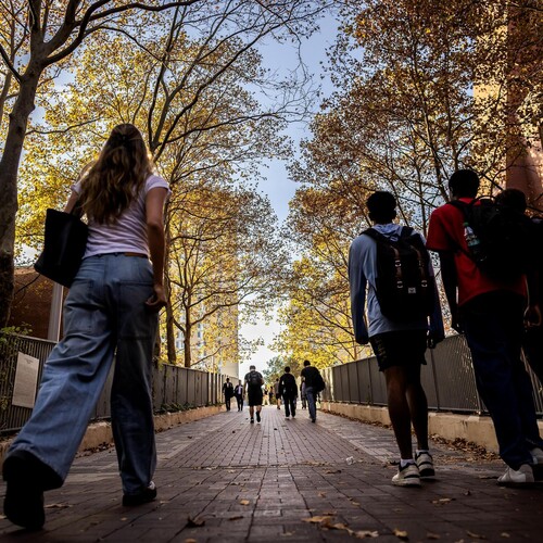 People walking on Locust Walk in the fall.