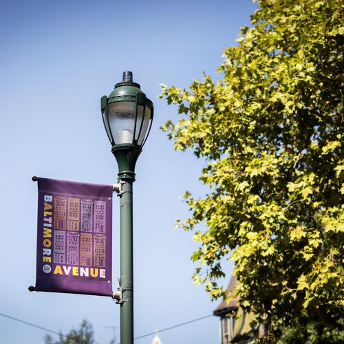 A purple sign labelled "Baltimore Avenue" hanging from a lamppost. The flag includes townhouse/building designs.