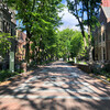 Sunlit but empty Locust Walk in springtime