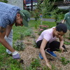 three people work in a garden