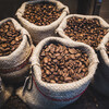 Burlap sacks full of coffee beans. 